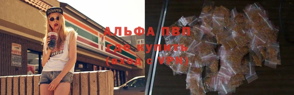 твердый Аркадак