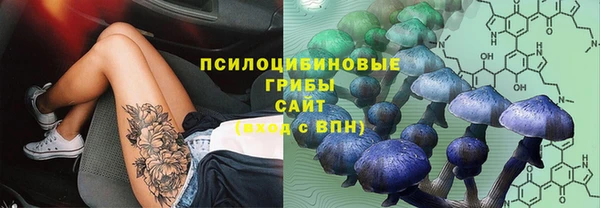 твердый Аркадак