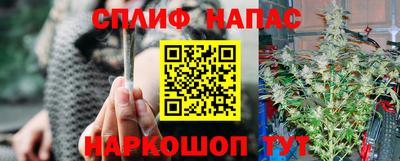 мяу мяу мука Краснознаменск
