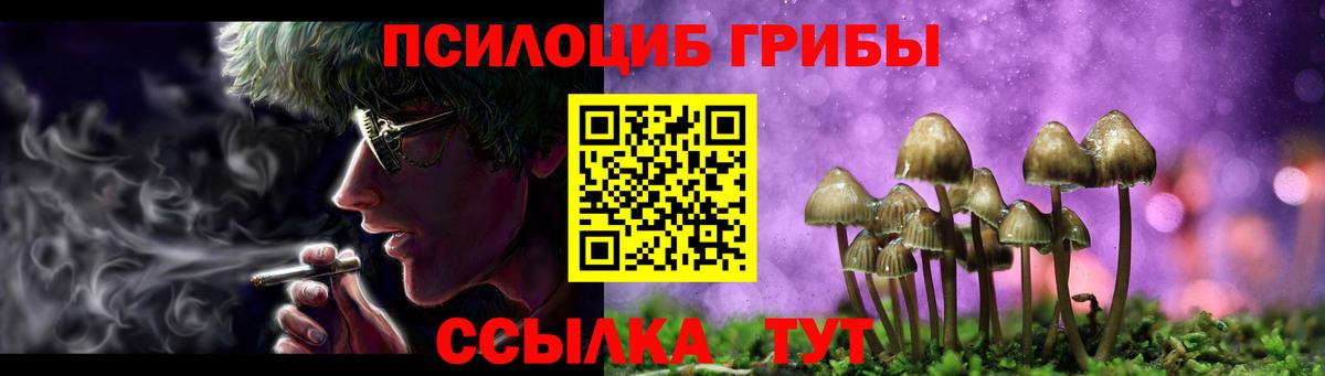 Кирово-Чепецк  Галлюциногенные грибы мухоморы  Галлюциногенные грибы Psilocybine cubensis  Вход с VPN 